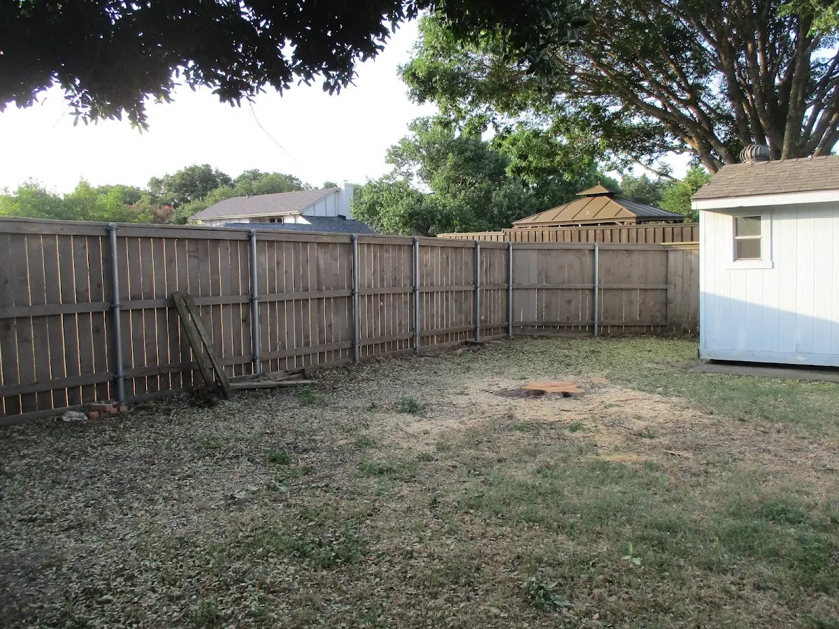 Cleared yard after professional tree removal in Sigel