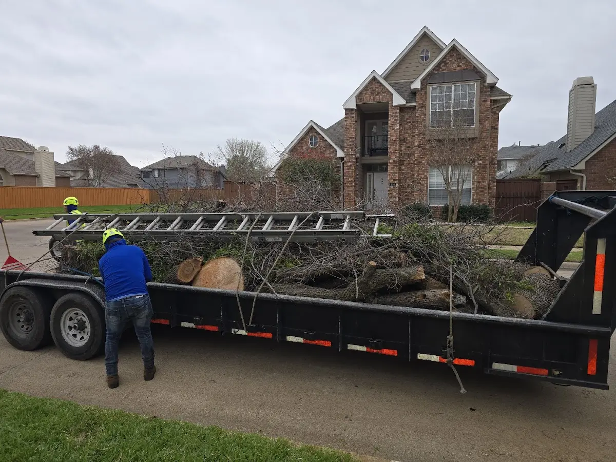 Expert Tree Fertilization with proper safety equipment in Sigel